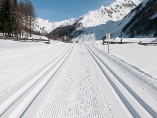 Alto Adige Neve