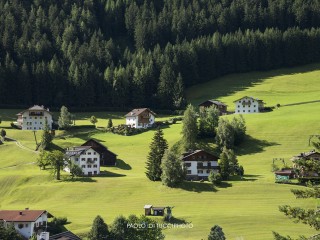 Trentino Alto Adige