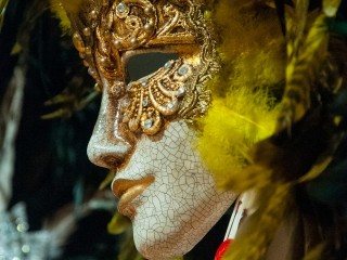 Carnevale Venezia 2011